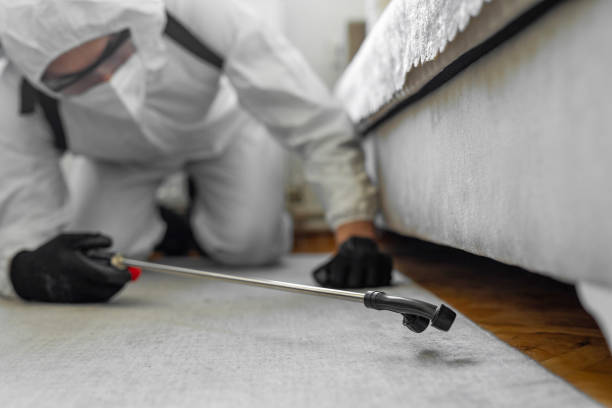 Professional Bed Bug Control technician working in Wilkes County County, NC